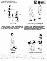 Seated Core Strengthening Exercises For Elderly Images