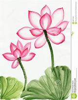 Photos of Lotus Flower Painting
