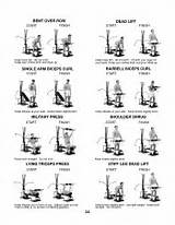 Bowflex Xtl Leg Workouts Pictures