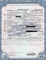 Pictures of Tax Advisor License