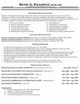 Cv Format For Veterinary Doctor Images