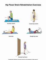 Photos of Muscle Rehabilitation Exercises