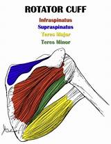 Images of Rotator Cuff Muscle Exercises
