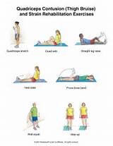 Images of Quad Muscle Exercises Knee