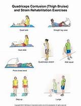 Photos of Muscle Exercise Routine