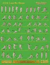 Photos of Northern Shaolin Kung Fu