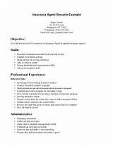 Insurance Agency Resume Images