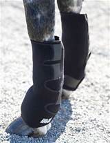 Equine Therapy Boots Images