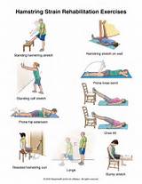 Images of Hamstring Workout Exercises