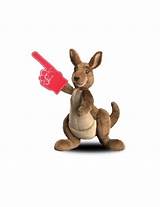 Pictures of Kangaroo Dish Network Commercial