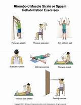 Trapezius Muscle Strengthening Exercises Images