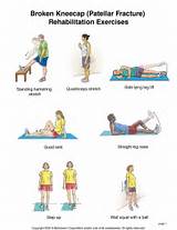Kneecap Muscle Exercises Images