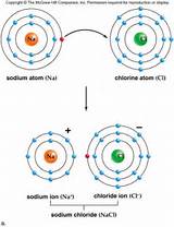Hydrogen Atom Form An Ionic Bond Photos