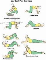 Spine Muscle Strengthening Exercises Photos