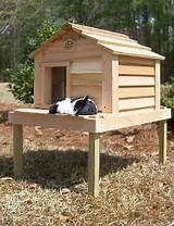 Images of Air Conditioned Outdoor Cat House