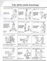 Images of Quadriceps And Hip Muscle Strengthening Exercises