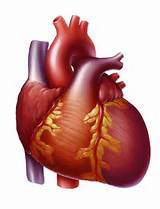 Congestive Heart Failure Home Remedies Photos