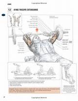 Muscle Building Arm Workouts Pictures