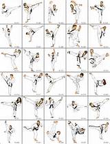 Photos of Karate Training Exercises Pdf