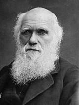 Robert Charles Darwin Theory Of Evolution Images