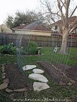 Climbing Rose Support Trellis Panels Images