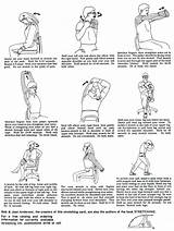 Flexibility Exercises Photos