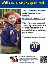 Cub Scout Marketing Pictures