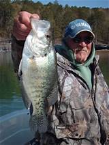 Pictures of Crappie Fishing Guides In Arkansas