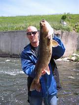 Photos of Shabbona Lake Fishing Guides