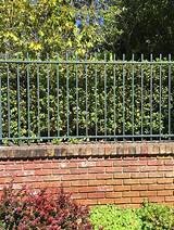 Brick And Wrought Iron Fence