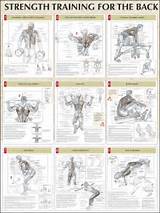 Pictures of Muscle Mass Exercises