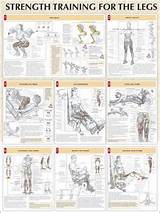 Exercise Routines Yahoo Pictures