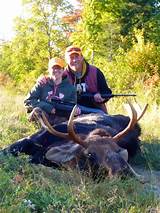 Maine Moose Outfitters Images