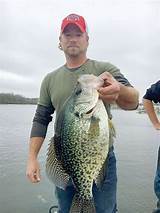 Pictures of Crappie Fishing Guides In Arkansas