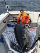 Tuna Fishing Charters Boston Ma Pictures