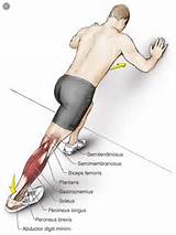 Gastrocnemius Muscle Exercises Images