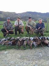 New Zealand Turkey Hunting Outfitters Photos