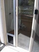 Dog Door Insert For Sliding Screen Door Photos