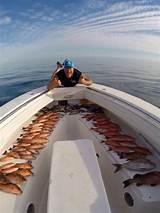 St Petersburg Fishing Charters Images