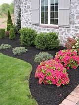 Cost Of Backyard Landscaping Pictures