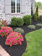 Photos of Landscaping Front Yard