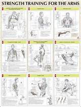 Pictures of List Of Weight Training Exercises