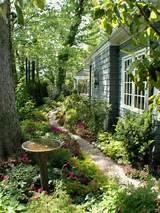 Garden Design Ideas For Shady Areas Images
