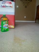 Pictures of Best Rug Doctor Cleaning Solution