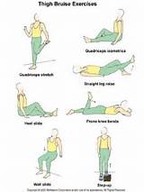 Images of Quadriceps Strengthening Exercises