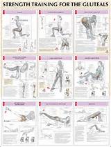 Different Workout Exercises Images
