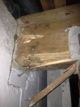 Termite Damage Main Beam Pictures