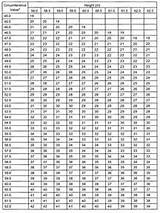 Images of Pt Standards For The Army