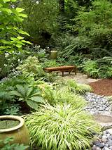 Landscaping Design For Shady Areas Photos