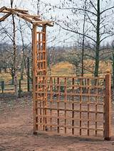 Images of Climbing Rose Support Trellis Panels